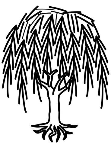 Willow Tree Coloring Page